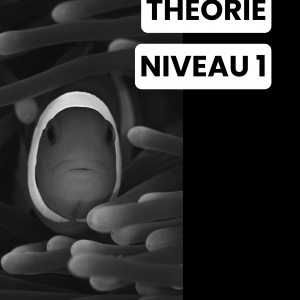 Image de couverture de livre de théorie de plongée Niveau 1, mettant en vedette un poisson clown, conçu pour les débutants en plongée souhaitant maîtriser les aspects théoriques.