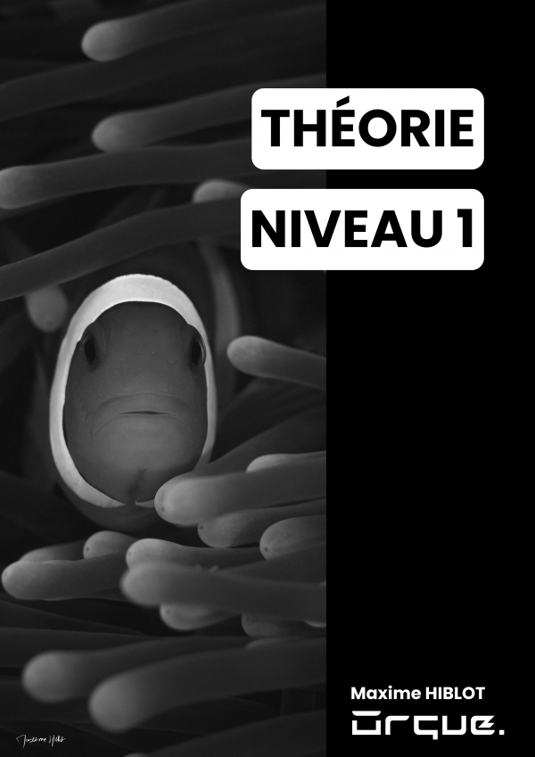 Image de couverture de livre de théorie de plongée Niveau 1, mettant en vedette un poisson clown, conçu pour les débutants en plongée souhaitant maîtriser les aspects théoriques.