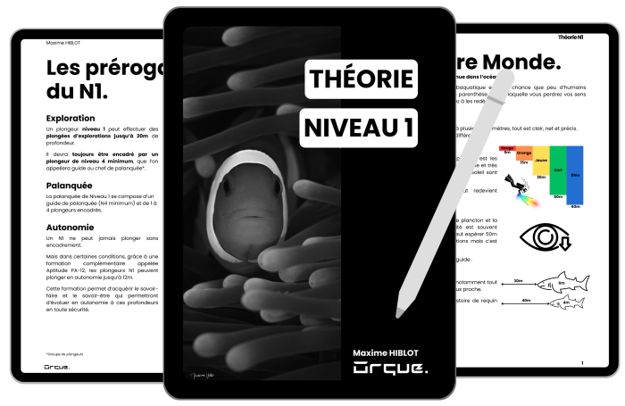 pRésentation E-Book